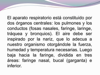 El aparato respiratorio está constituido por
dos órganos centrales: los pulmones y los
conductos (fosas nasales, faringe, laringe,
tráquea y bronquios). El aire debe ser
inspirado por la nariz, que lo adecua a
nuestro organismo otorgándole la fuerza,
humedad y temperatura necesarias. Luego
baja hacia la faringe, dividida en tres
áreas: faringe nasal, bucal (garganta) e
inferior.
 