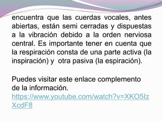 encuentra que las cuerdas vocales, antes
abiertas, están semi cerradas y dispuestas
a la vibración debido a la orden nerviosa
central. Es importante tener en cuenta que
la respiración consta de una parte activa (la
inspiración) y otra pasiva (la espiración).
Puedes visitar este enlace complemento
de la información.
https://www.youtube.com/watch?v=XKO5Iz
XcdF8
 