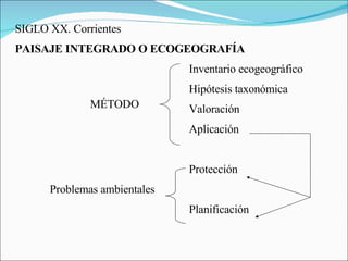 SIGLO XX. Corrientes PAISAJE INTEGRADO O ECOGEOGRAFÍA Inventario ecogeográfico Hipótesis taxonómica Valoración Aplicación Protección Problemas ambientales Planificación MÉTODO 