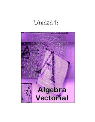 AlgebraAlgebra
VectorialVectorial
Unidad 1:Unidad 1:Unidad 1:Unidad 1:
 