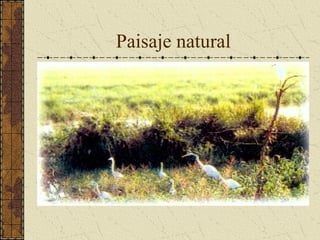 Paisaje natural 