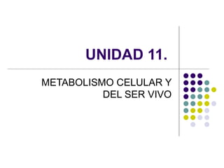 UNIDAD 11.
METABOLISMO CELULAR Y
DEL SER VIVO

 