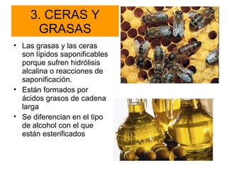 3. CERAS Y
GRASAS
• Las grasas y las ceras
son lípidos saponificables
porque sufren hidrólisis
alcalina o reacciones de
saponificación.
• Están formados por
ácidos grasos de cadena
larga
• Se diferencian en el tipo
de alcohol con el que
están esterificados

 