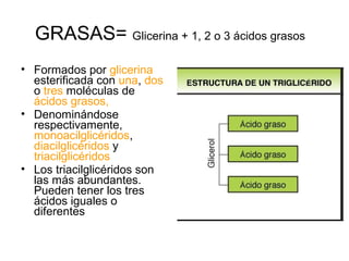 GRASAS= Glicerina + 1, 2 o 3 ácidos grasos
• Formados por glicerina
esterificada con una, dos
o tres moléculas de
ácidos grasos,
• Denominándose
respectivamente,
monoacilglicéridos,
diacilglicéridos y
triacilglicéridos
• Los triacilglicéridos son
las más abundantes.
Pueden tener los tres
ácidos iguales o
diferentes

 