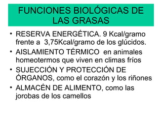 FUNCIONES BIOLÓGICAS DE
LAS GRASAS
• RESERVA ENERGÉTICA. 9 Kcal/gramo
frente a 3,75Kcal/gramo de los glúcidos.
• AISLAMIENTO TÉRMICO en animales
homeotermos que viven en climas fríos
• SUJECCIÓN Y PROTECCIÓN DE
ÓRGANOS, como el corazón y los riñones
• ALMACÉN DE ALIMENTO, como las
jorobas de los camellos

 