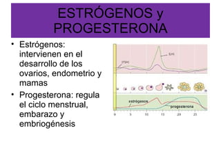 ESTRÓGENOS y
PROGESTERONA
• Estrógenos:
intervienen en el
desarrollo de los
ovarios, endometrio y
mamas
• Progesterona: regula
el ciclo menstrual,
embarazo y
embriogénesis

 