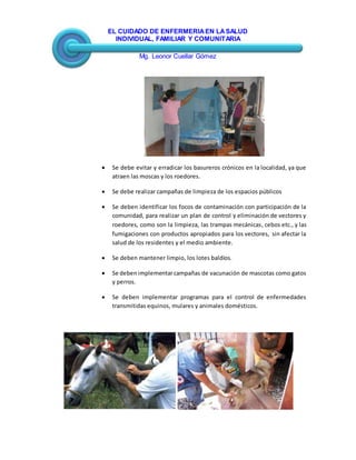 EL CUIDADO DE ENFERMERIAEN LASALUD
INDIVIDUAL, FAMILIAR Y COMUNITARIA
Mg. Leonor Cuellar Gómez
 Se debe evitar y erradicar los basureros crónicos en la localidad, ya que
atraen las moscas y los roedores.
 Se debe realizar campañas de limpieza de los espacios públicos
 Se deben identificar los focos de contaminación con participación de la
comunidad, para realizar un plan de control y eliminación de vectores y
roedores, como son la limpieza, las trampas mecánicas, cebos etc., y las
fumigaciones con productos apropiados para los vectores, sin afectar la
salud de los residentes y el medio ambiente.
 Se deben mantener limpio, los lotes baldíos.
 Se debenimplementarcampañas de vacunación de mascotas como gatos
y perros.
 Se deben implementar programas para el control de enfermedades
transmitidas equinos, mulares y animales domésticos.
 