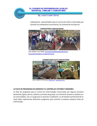 EL CUIDADO DE ENFERMERIAEN LASALUD
INDIVIDUAL, FAMILIAR Y COMUNITARIA
Mg. Leonor Cuellar Gómez
subproductos aprovechables para el servicio de toda la comunidad, por
ejemplo las composteras comunitarias, los sistemas de reciclaje etc.
COMPOSTERAS COMUNITARIAS
FOTOS TOMADAS DE LAS PÁGINAS: www.conama.cl/ciudadaniaambiental/1312/articl...,
www.portal.semarnat.gob.mx/.../imagenes/terraceo.jpg
LOMBRICOMPUESTO COMUNITARIO
FOTOS TOMADAS DE LAS PAGINAS: www.uciri.org. www.trabajo.com.mx
LA FALTA DE PROGRAMAS DE ZOONOSISY EL CONTROL DE VECTORES Y ROEDORES.
La falta de programas para el control de enfermedades transmitidas por algunos animales
domésticos (gatos, perros, caballos y animales de granja) y el control de vectores y roedores en
las comunidades, son un riesgo para la salud de la población, es allí donde el profesional de la
salud debe implementar diferentes programas para controlar y erradicar cualquier brote de
enfermedad.
 
