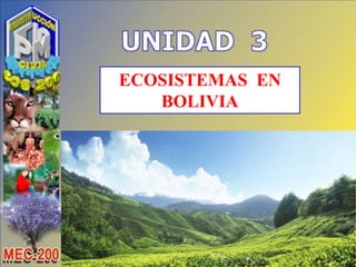 ECOSISTEMAS EN
BOLIVIA
 