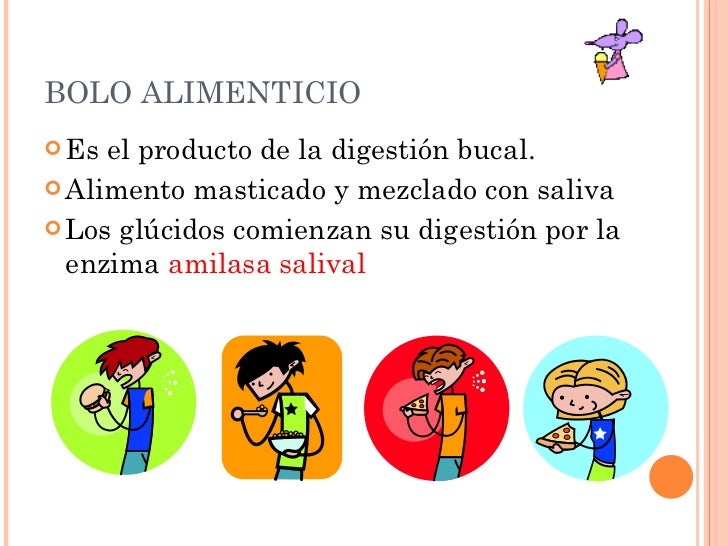 Unidad 3, Sistema Digestivo