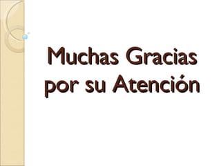 Muchas Gracias por su Atención 