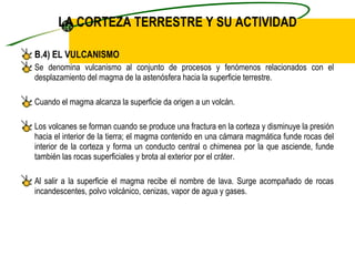 LA CORTEZA TERRESTRE Y SU ACTIVIDAD B.4) EL VULCANISMO Se denomina vulcanismo al conjunto de procesos y fenómenos relacionados con el desplazamiento del magma de la astenósfera hacia la superficie terrestre. Cuando el magma alcanza la superficie da origen a un volcán. Los volcanes se forman cuando se produce una fractura en la corteza y disminuye la presión hacia el interior de la tierra; el magma contenido en una cámara magmática funde rocas del interior de la corteza y forma un conducto central o chimenea por la que asciende, funde también las rocas superficiales y brota al exterior por el cráter. Al salir a la superficie el magma recibe el nombre de lava. Surge acompañado de rocas incandescentes, polvo volcánico, cenizas, vapor de agua y gases. 