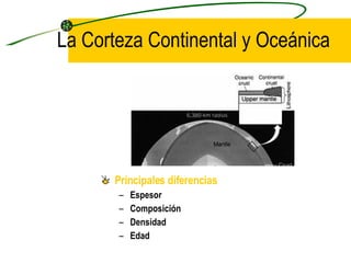 La Corteza Continental y Oceánica Principales diferencias Espesor Composición Densidad Edad 