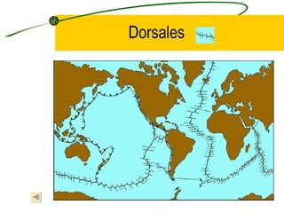Dorsales 
