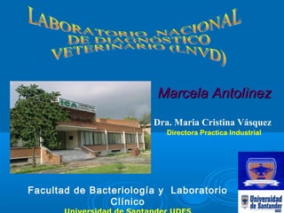 Marcela AntolìnezMarcela Antolìnez
Dra. Maria Cristina Vásquez
Directora Practica Industrial
Facultad de Bacteriología y Laboratorio
Clínico
 