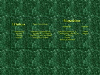 Detríticas Origen Físico-Químico Biogenéticas Organógenas Orgánicas - Conglomerados - Areniscas - Limonitas - Arcillitas - Carbonatos (de precipitación; diagenéticos – Ej. Dolomíta) - Evaporitas (Ej. Yeso, Ej. Halitita) - Ferruginosas, Fosfatos - Carbonatos (Autóctonos, Ej. Caliza coralina; Alóctonos, Ej. Calcarenita) - Fosfatos - Silíceas, Ej. Diatomita - Carbón - Petróleo 