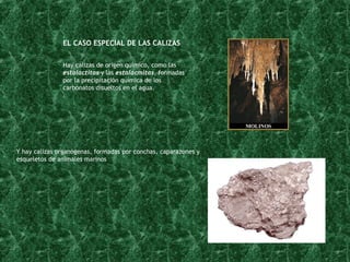 EL CASO ESPECIAL DE LAS CALIZAS Hay calizas de orígen químico, como las  estalactitas  y las  estalacmitas , formadas  por la precipitación química de los  carbonatos disueltos en el agua. Y hay calizas organógenas, formadas por conchas, caparazones y  esqueletos de animales marinos 