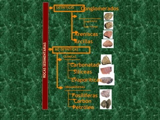 DETRÍTICAS NO DETRÍTICAS QUÍMICAS ORGANÓGENAS Conglomerados Arcillas Areniscas Brecha Pudinga Carbonatadas Silíceas Evaporíticas Fosilíferas Carbón Petróleo ROCAS SEDIMENTARIAS 
