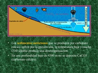 Los  sedimentos autóctonos  que se producen por carbonato cálcico sufren por la presión alta, la temperatura baja y mucho CO2 soluble produce una descompensación.  En una profundidad bajo de 4500 m no se deposita CaCO3 (carbonato cálcico). 