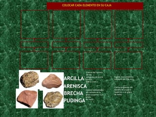 ARENISCA ARCILLA BRECHA PUDINGA Clastos redondeados  del tamaño de la  grava (superior a un  grano de maíz) Clastos angulosos del  tamaño de la grava  (superior a un grano de maíz) Clastos del tamaño  de las partículas de arena  (entre 0'06 y 2 mm.) Clastos muy pequeños (menores de 0'06 mm) COLOCAR CADA ELEMENTO EN SU CAJA 