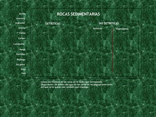 DETRÍTICAS NO DETRÍTICAS Químicas Organógenas Brecha Pudinga Arcilla Arenisca Lumaquela Carbón Sílex Yeso Sal gema Marga Caliza Petróleo Azabache Coloca los nombres de las rocas en la casilla que corresponda. Observación: He puesto dos que no han salido en las páginas anteriores. Así que no te queda más remedio que investigar. ROCAS SEDIMENTARIAS 