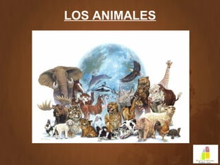 LOS ANIMALES
 