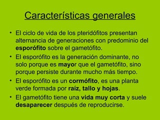 Características generales El ciclo de vida de los pteridófitos presentan alternancia de generaciones con predominio del  esporófito  sobre el gametófito. El esporófito es la generación dominante, no solo porque es  mayo r que el gametófito, sino porque persiste durante mucho más tiempo. El esporófito es un  cormófito , es una planta verde formada por  raíz, tallo y hojas .  El gametófito tiene una  vida muy corta  y suele  desaparecer  después de reproducirse. 