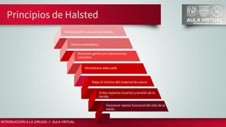 Halsted Principles Cicatrización en heridas | PDF