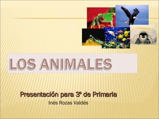 Presentación para 3º de Primaria Inés Rozas Valdés 