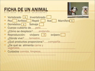 Vertebrado  Invertebrado  Pez  Anfibio  Reptil  Ave  Mamífero  Doméstico  Salvaje  Cuerpo cubierto de ……pelo………   ¿Cómo se desplaza ?........andando............................ Reproducción:  vivíparo  X   ovíparo  ¿Dónde vive ?.......terrestre..............   ¿Qué productos proporciona ?......compañía.................... ¿De qué se  alimenta  carne y vegetales.............................................................................   Cuidados  comida, limpieza,………………………….……………………………………………………………………………………………. X X X 