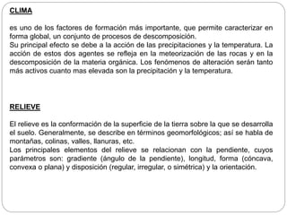 CLIMA
es uno de los factores de formación más importante, que permite caracterizar en
forma global, un conjunto de procesos de descomposición.
Su principal efecto se debe a la acción de las precipitaciones y la temperatura. La
acción de estos dos agentes se refleja en la meteorización de las rocas y en la
descomposición de la materia orgánica. Los fenómenos de alteración serán tanto
más activos cuanto mas elevada son la precipitación y la temperatura.
RELIEVE
El relieve es la conformación de la superficie de la tierra sobre la que se desarrolla
el suelo. Generalmente, se describe en términos geomorfológicos; así se habla de
montañas, colinas, valles, llanuras, etc.
Los principales elementos del relieve se relacionan con la pendiente, cuyos
parámetros son: gradiente (ángulo de la pendiente), longitud, forma (cóncava,
convexa o plana) y disposición (regular, irregular, o simétrica) y la orientación.
 