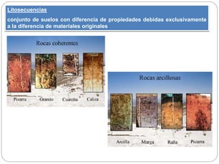 Litosecuencias
conjunto de suelos con diferencia de propiedades debidas exclusivamente
a la diferencia de materiales originales
 