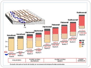 Unidad-de-Estudio-Nº-1B-Edafología.ppt