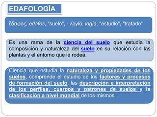 ἔδαφος, edafos, "suelo", - λογία, logía, "estudio", "tratado“
Es una rama de la ciencia del suelo que estudia la
composición y naturaleza del suelo en su relación con las
plantas y el entorno que le rodea.
Ciencia que estudia la naturaleza y propiedades de los
suelos, comprende el estudio de los factores y procesos
de formación del suelo, las descripción e interpretación
de los perfiles, cuerpos y patrones de suelos y la
clasificación a nivel mundial de los mismos
EDAFOLOGÍA
 