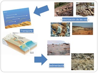Meteorización de las rocas
Transporte
Sedimentación
 