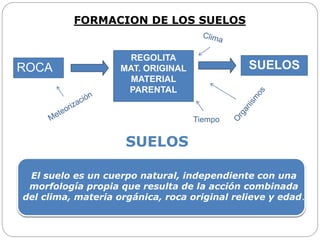 FORMACION DE LOS SUELOS
SUELOS
El suelo es un cuerpo natural, independiente con una
morfología propia que resulta de la acción combinada
del clima, materia orgánica, roca original relieve y edad.
ROCA SUELOS
REGOLITA
MAT. ORIGINAL
MATERIAL
PARENTAL
Tiempo
 