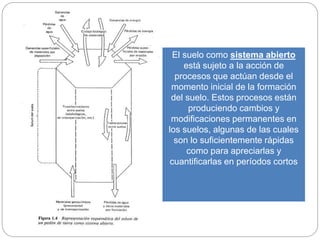 El suelo como sistema abierto
está sujeto a la acción de
procesos que actúan desde el
momento inicial de la formación
del suelo. Estos procesos están
produciendo cambios y
modificaciones permanentes en
los suelos, algunas de las cuales
son lo suficientemente rápidas
como para apreciarlas y
cuantificarlas en períodos cortos
 