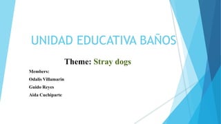 UNIDAD EDUCATIVA BAÑOS
Theme: Stray dogs
Members:
Odalis Villamarin
Guido Reyes
Aida Cuchiparte
 