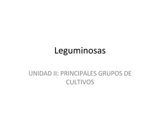 Leguminosas UNIDAD II: PRINCIPALES GRUPOS DE CULTIVOS 
