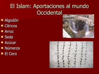 El Islam: Aportaciones al mundo Occidental Algodón Cítricos Arroz Seda Azúcar Números El Cero 