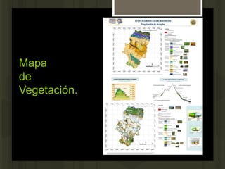Mapa
de
Vegetación.
 