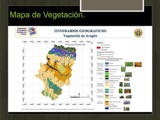Mapa de Vegetación.
 