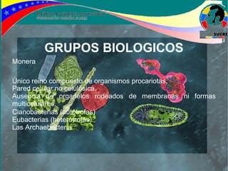 GRUPOS BIOLOGICOS
Monera

Único reino compuesto de organismos procariotas.
Pared celular no celulósica.
Ausencia de organelos rodeados de membranas ni formas
multicelulares.
Cianobacterias (autótrofas)
Eubacterias (heterótrofas).
Las Archaebacteria.
 