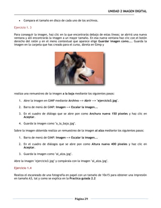 UNIDAD 2 IMAGEN DIGITAL

      Compara el tamaño en disco de cada uno de los archivos.

Ejercicio 1. 3

Para conseguir la imagen, haz clic en la que encontrarás debajo de estas líneas; se abrirá una nueva
ventana y allí encontrarás la imagen a un mayor tamaño. En esa nueva ventana haz clic con el botón
derecho del ratón y en el menú contextual que aparece elige Guardar imagen como.... Guarda la
imagen en la carpeta que has creado para el curso, ábrela en Gimp y




realiza una remuestreo de la imagen a la baja mediante los siguientes pasos:

   1. Abre la imagen en GIMP mediante Archivo --> Abrir --> "ejercicio3.jpg".

   2. Barra de menú de GIMP: Imagen --> Escalar la imagen...

   3. En el cuadro de diálogo que se abre pon como Anchura nueva 150 píxeles y haz clic en
      Aceptar.

   4. Guarda la imagen como "a_la_baja.jpg".

Sobre la imagen obtenida realiza un remuestreo de la imagen al alza mediante los siguientes pasos:

   1. Barra de menú de GIMP: Imagen --> Escalar la imagen...

   2. En el cuadro de diálogos que se abre pon como Altura nueva 400 píxeles y haz clic en
      Aceptar.

   3. Guarda la imagen como "al_alza.jpg".

Abre la imagen "ejercicio3.jpg" y compárala con la imagen "al_alza.jpg".

Ejercicio 1.4

Realiza el escaneado de una fotografía en papel con un tamaño de 10x15 para obtener una impresión
en tamaño A3, tal y como se explica en la Practica guiada 2.2




                                              Página 29
 