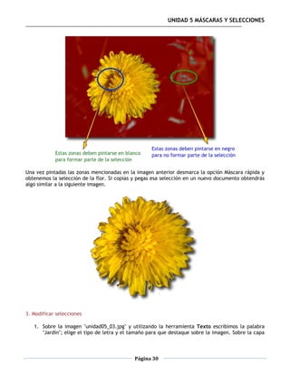 UNIDAD 5 MÁSCARAS Y SELECCIONES




Una vez pintadas las zonas mencionadas en la imagen anterior desmarca la opción Máscara rápida y
obtenemos la selección de la flor. Si copias y pegas esa selección en un nuevo documento obtendrás
algo similar a la siguiente imagen.




3. Modificar selecciones

   1. Sobre la imagen "unidad05_03.jpg" y utilizando la herramienta Texto escribimos la palabra
      "Jardín"; elige el tipo de letra y el tamaño para que destaque sobre la imagen. Sobre la capa



                                            Página 30
 