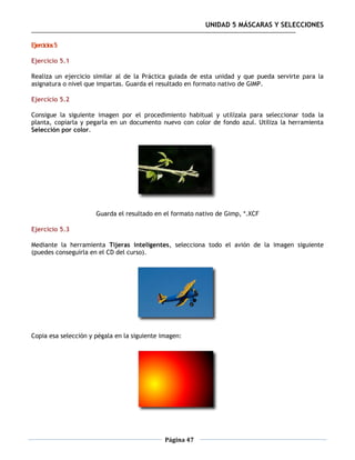UNIDAD 5 MÁSCARAS Y SELECCIONES

Ejercicios 5

Ejercicio 5.1

Realiza un ejercicio similar al de la Práctica guiada de esta unidad y que pueda servirte para la
asignatura o nivel que impartas. Guarda el resultado en formato nativo de GIMP.

Ejercicio 5.2

Consigue la siguiente imagen por el procedimiento habitual y utilízala para seleccionar toda la
planta, copiarla y pegarla en un documento nuevo con color de fondo azul. Utiliza la herramienta
Selección por color.




                      Guarda el resultado en el formato nativo de Gimp, *.XCF

Ejercicio 5.3

Mediante la herramienta Tijeras inteligentes, selecciona todo el avión de la imagen siguiente
(puedes conseguirla en el CD del curso).




Copia esa selección y pégala en la siguiente imagen:




                                              Página 47
 
