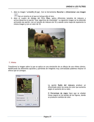 UNIDAD 6 LOS FILTROS

   1. Abre la imagen "unidad06_04.jpg". Con la herramienta Recortar o dimensionar una imagen

            haz un recorte en el que se incluya sólo el toro.
   2. Abre el cuadro de diálogo del filtro Óleo, aplica diferentes tamaños de máscara y
      activa/desactiva la opción "Usar algoritmo de intensidad". La siguiente imagen se ha obtenido
      activando esa opción, con un tamaño de máscara de 10 y usando como mapa de exponente la
      misma imagen y con un valor de 10.




7. Viñeta

Transforma la imagen sobre la que se aplica en una simulación de un dibujo de una viñeta cómica.
Modificando las diferentes opciones y partiendo de imágenes muy contrastadas podemos mejorar el
efecto que se consigue.




                                                  La opción Radio del máscara produce un
                                                  difuminado sobre las zonas de color que aumenta
                                                  según el aumento de su valor.

                                                  El Porcentaje de negro hace que se añadan
                                                  líneas negras en los bordes de las figuras, donde
                                                  se producen cambios de color.




                                            Página 37
 