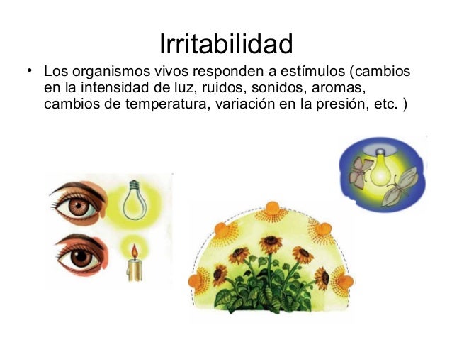 Unidad 0 segundo c