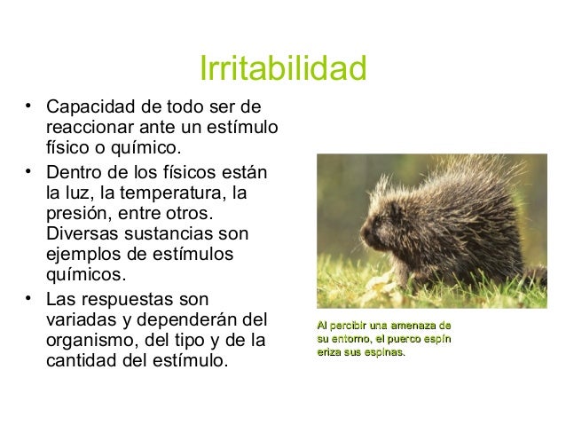 Unidad 0 segundo c