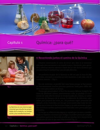 Química: ¿para qué?Capítulo 1
	Recorriendo juntos el camino de la Química
Estamos comenzando el curso de tercer año. Este es el momento
adecuado para asomarnos a un mundo nuevo y fascinante, para apren-
der a observar nuestro entorno a través de los ojos de la Química que
nos presentan la realidad bajo una mirada diferente.
No podemos escapar de la Química ni del uso que se hace de ella:
nos rodea, está junto a nosotros en todo momento, y aún más, está en
nosotros mismos… (fig.1).
En este momento, es posible leer estas líneas porque se han puesto
en funcionamiento muchos procesos químicos, tanto para editar este
libro como para realizar su lectura.
Piensa que para producir el libro fue necesario fabricar el papel y las
tintas de diferentes colores; anteriormente a ello, se produjo el creci-
miento de cada árbol de donde se extrajo la pulpa de celulosa, se realizó
el proceso de blanqueo de la misma, la obtención de diferentes colo-
rantes para preparar las tintas, etc. Así podemos seguir pensando por
ejemplo, en los materiales con los que están construidas todas las má-
quinas que se usaron en las distintas etapas y, en cada momento, se pue-
den identificar cambios químicos tanto naturales como provocados por
el hombre.
La luz que se refleja en esta página es captada por tus ojos y transfor-
mada en impulsos nerviosos que al llegar al cerebro provocan comple-
jos cambios químicos, haciendo posible que puedas ver e interpretar el
significado de todo lo que aquí estás leyendo (fig. 2).
		 Fig. 1. La Química en nuestra vida.
Fig. 2.
La Química es una ciencia expe-
rimental que estudia las propie-
dades de la materia, su compo-
sición y las transformaciones.
12 Capítulo 1 • Química: ¿para qué? Química • 3º C.B.
©EditorialContexto2010-Obsequioparadocentessinvalorcomercial-www.editorialcontexto.com.uy-(02)9019493
 